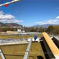 ציפה אווירית מומסת (DAF)